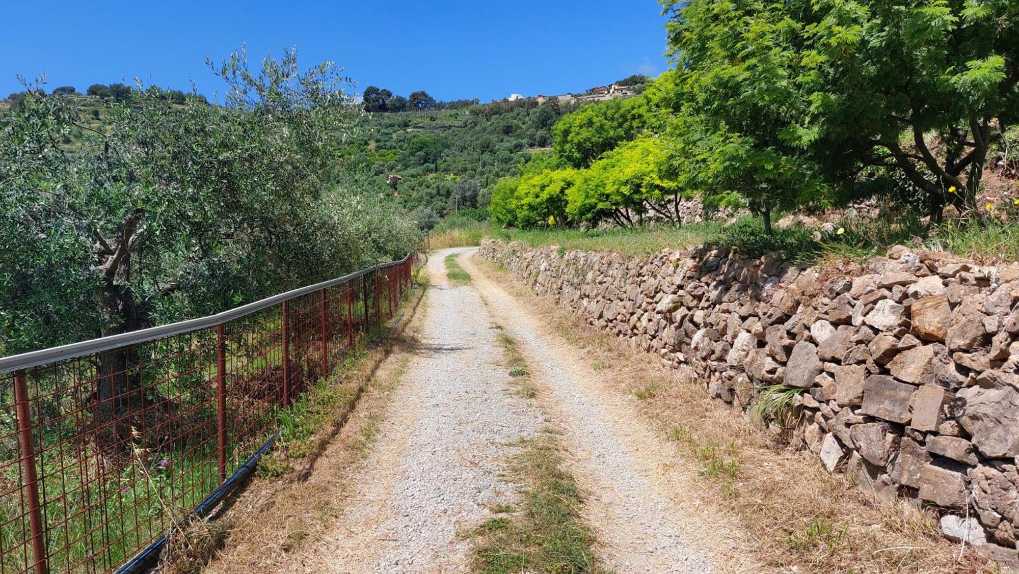 Il Nido Del Viaggiatore Vallebona ภายนอก รูปภาพ