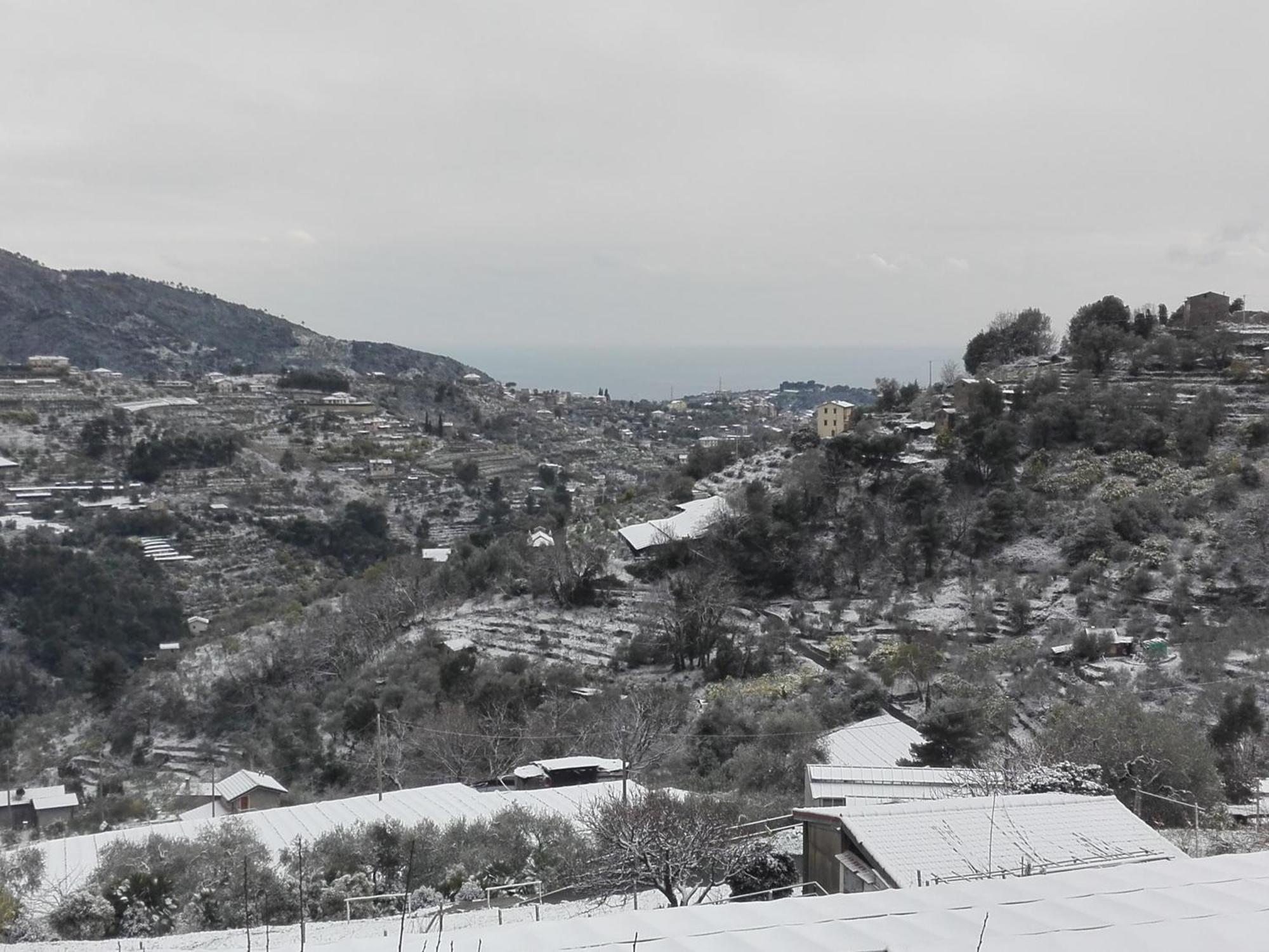 Il Nido Del Viaggiatore Vallebona ภายนอก รูปภาพ